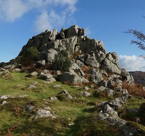 Dartmoor Tor
